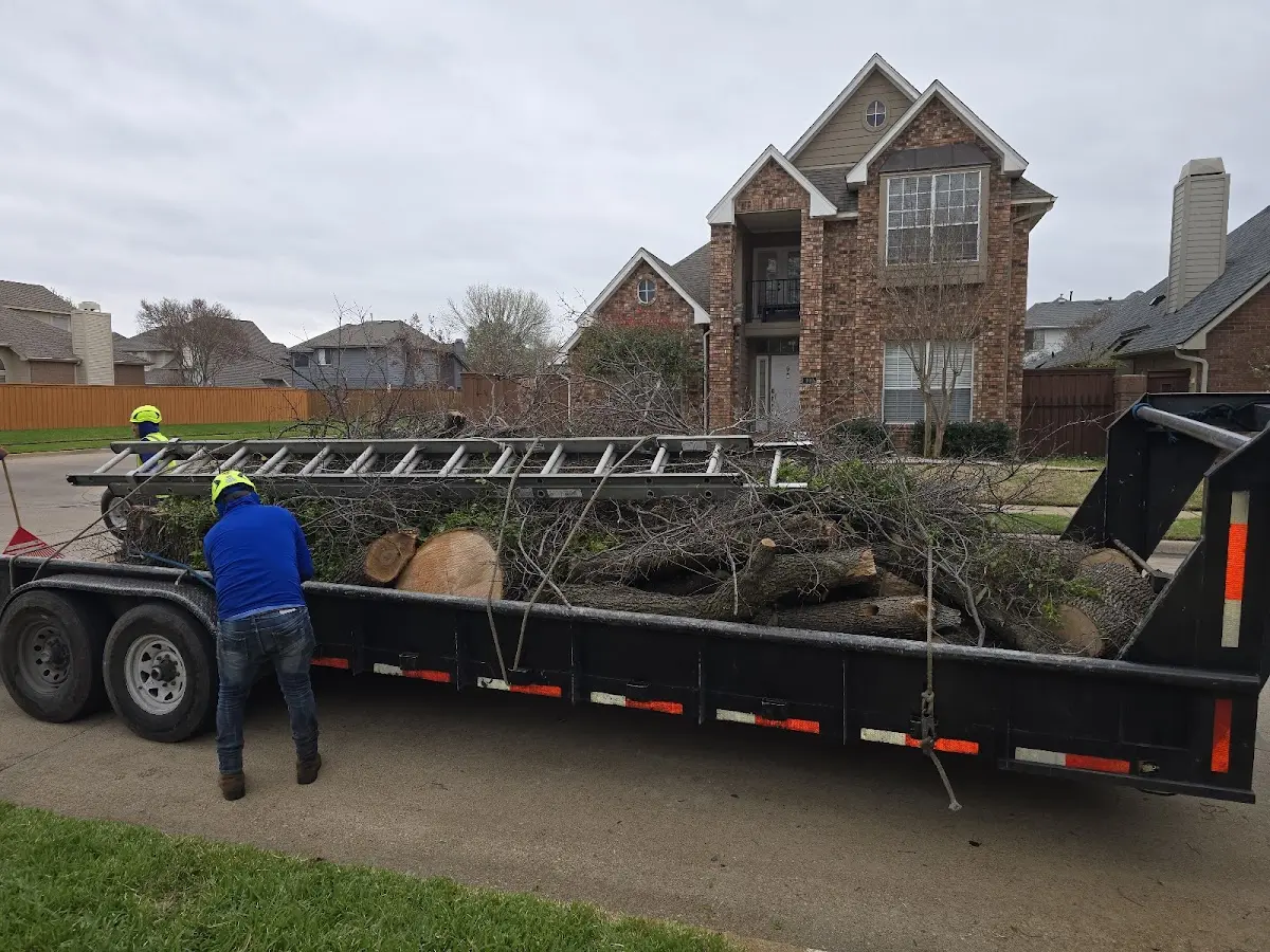 Expert Crown Reduction with proper safety equipment in Courtland